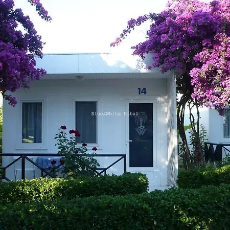 Tatil parkı Blue & White