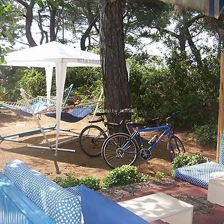 Blue & White Tatil parkı