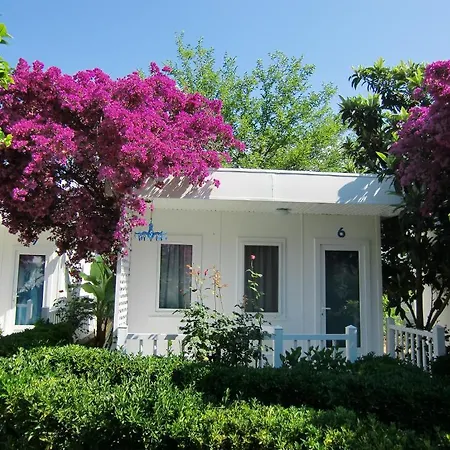 Blue & White Tatil parkı