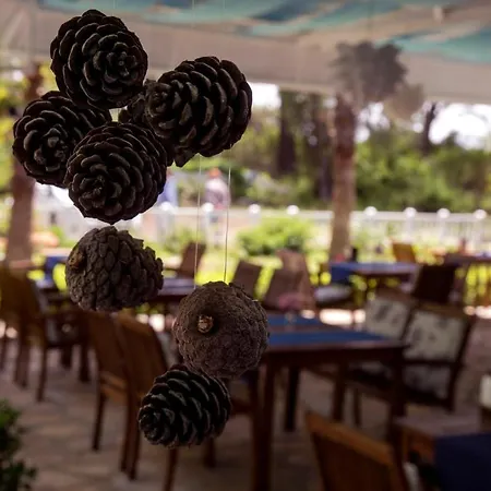 Blue & White Tatil parkı
