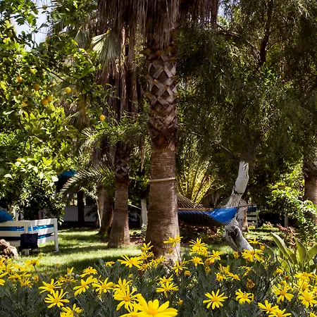 Blue & White Tatil parkı Çıralı